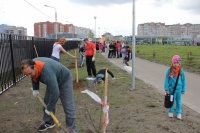 Аллея «Восток-Сервис» в Череповце