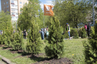 Аллей «Восток-Сервис» становится все больше