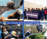 «Восток-Сервис»  – за сохранение окружающей среды!
