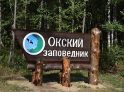 Рязанский филиал «Восток-Сервис» продолжает опеку над даурскими журавлями