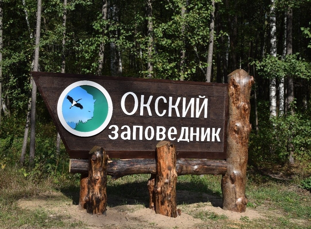 Рязанский филиал «Восток-Сервис» продолжает опеку над даурскими журавлями